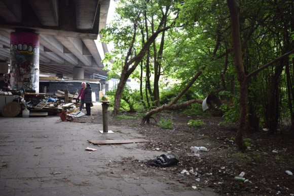 DSC_0050.JPG north small